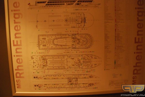 ���� �������