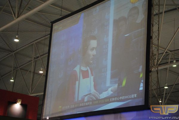 xelsing ����������