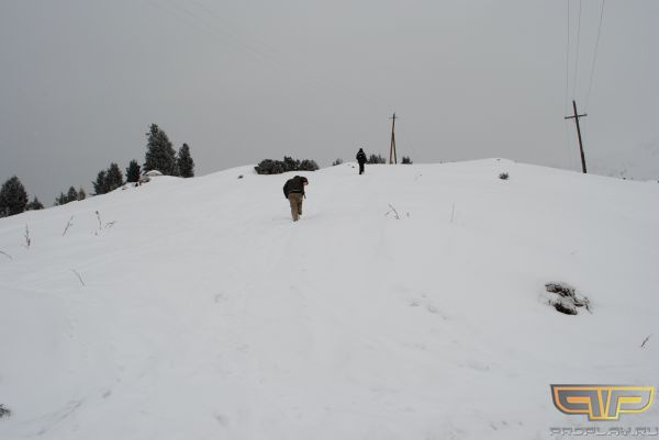 � Edward ������� �� ���