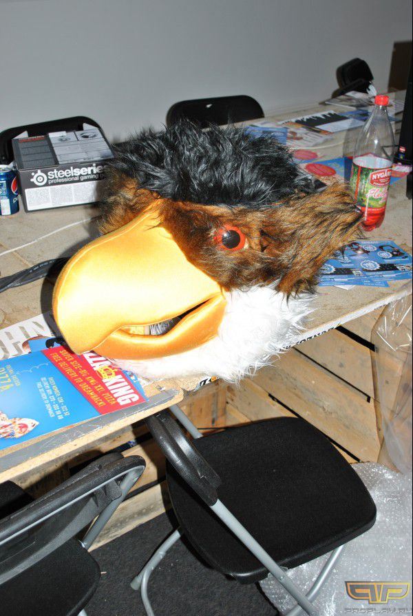 �������� �����������