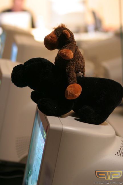 �� ����� ����������� ��������