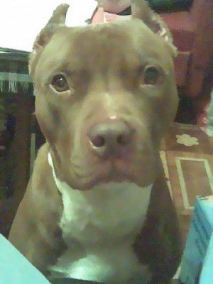 [�� �������]