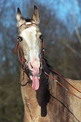 [�� �������]