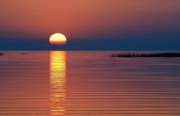 [�� �������]