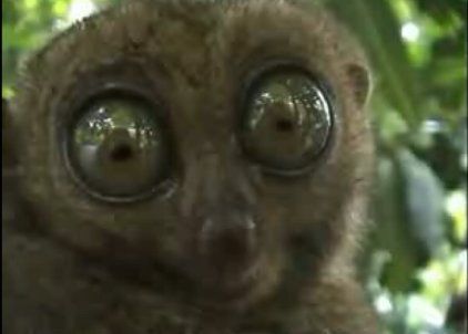 [�� �������]