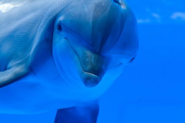 ��������4