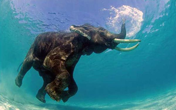 �������� ��������10