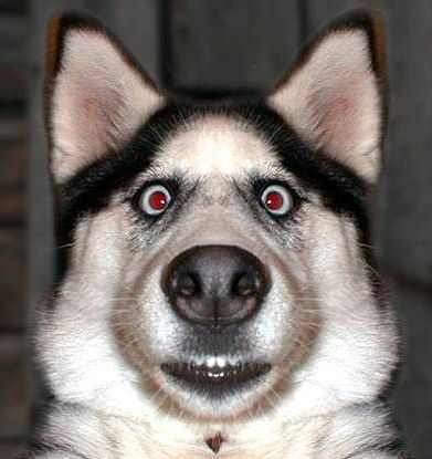 � ���� ������ ����� ����� ���������