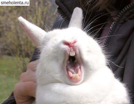 ����� ���!