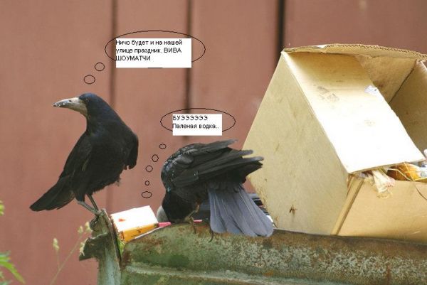 ����� �� �������