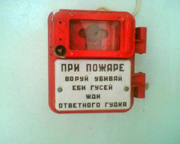 ��� ������ ��� ������