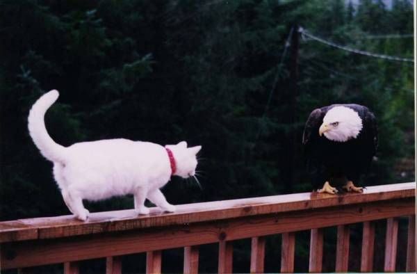 �����_&_���